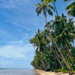 Nuku Beach Fiji 15