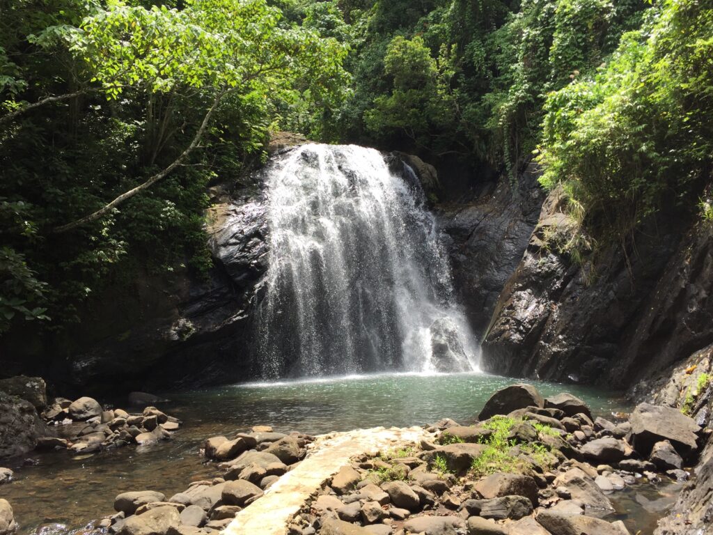 Nuku Beach Savusavu 14