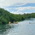 Nuku Beach Savusavu 22
