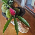 Nuku Beach Villa 20