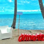 swimclub+amore resize