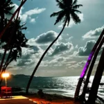 swim+club+moonlight resize Copy